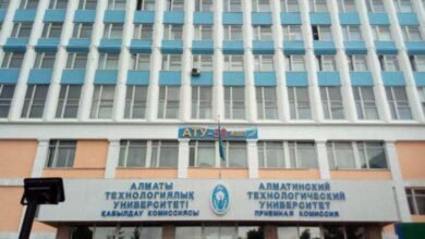 университет